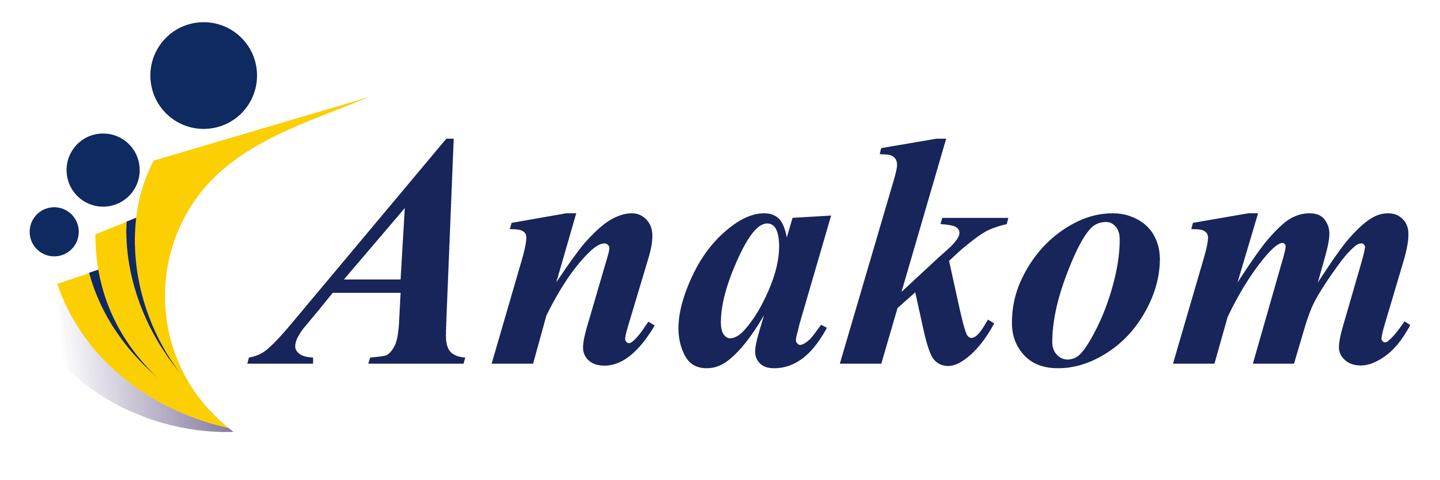 Anakom talouspalvelut